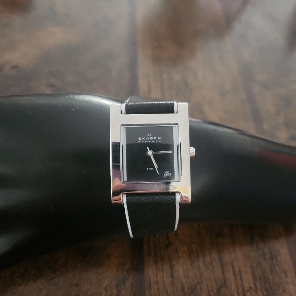 Skagen Denmark watch